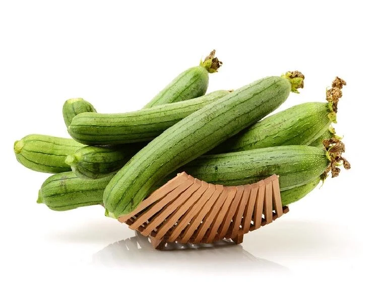 北京现摘大肉丝瓜新鲜清甜的农家蔬菜