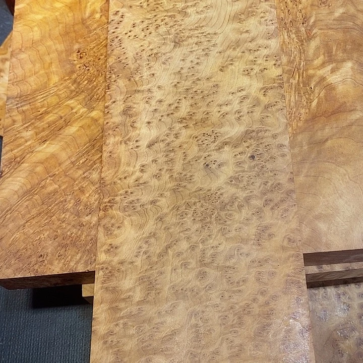 风车木（黑檀木）云*四川崖柏香山枯木留