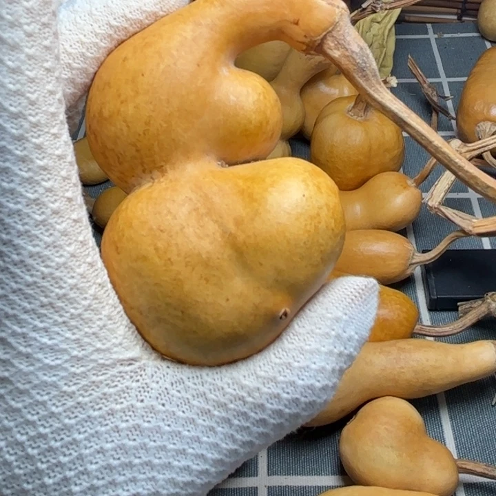 心***安花嘴666666666666