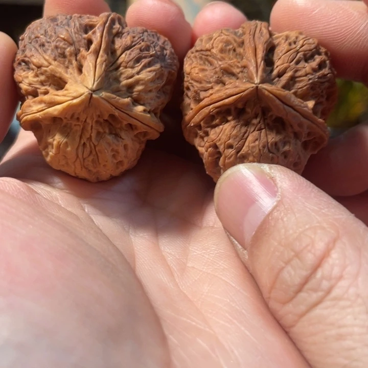 把件文玩核桃编号88