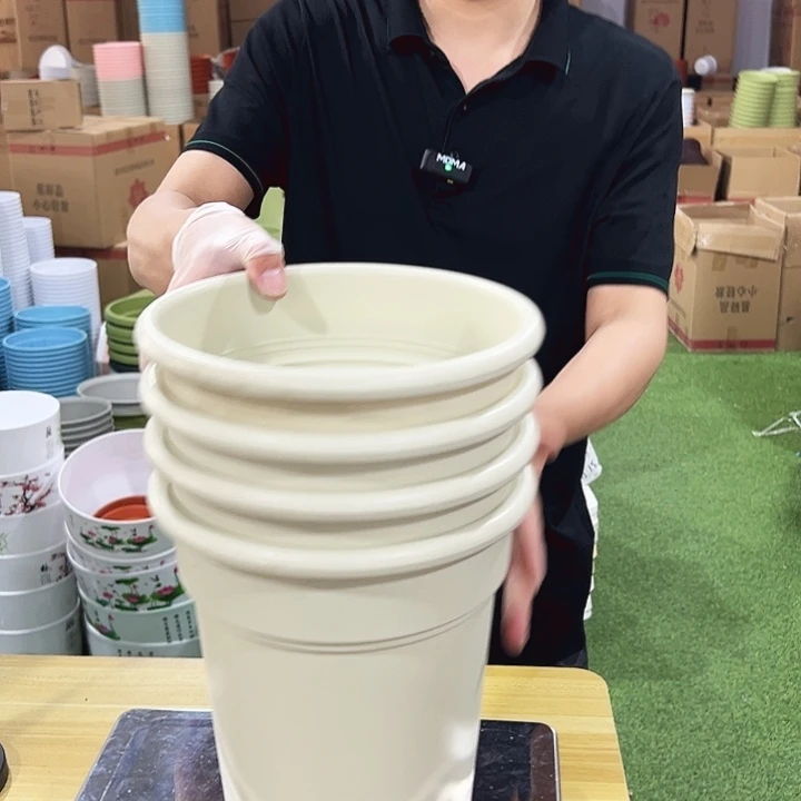翻边11口22高24米色无托4只