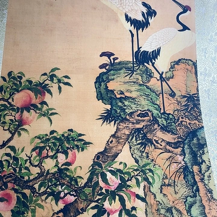 甄选好物,甄选好物