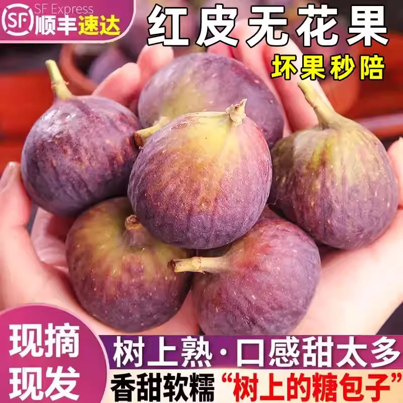 顺丰无花果鲜果新鲜红皮无花果紫皮红心孕妇现摘当季水果