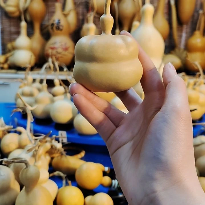 天他他他他他他他他他他他他他