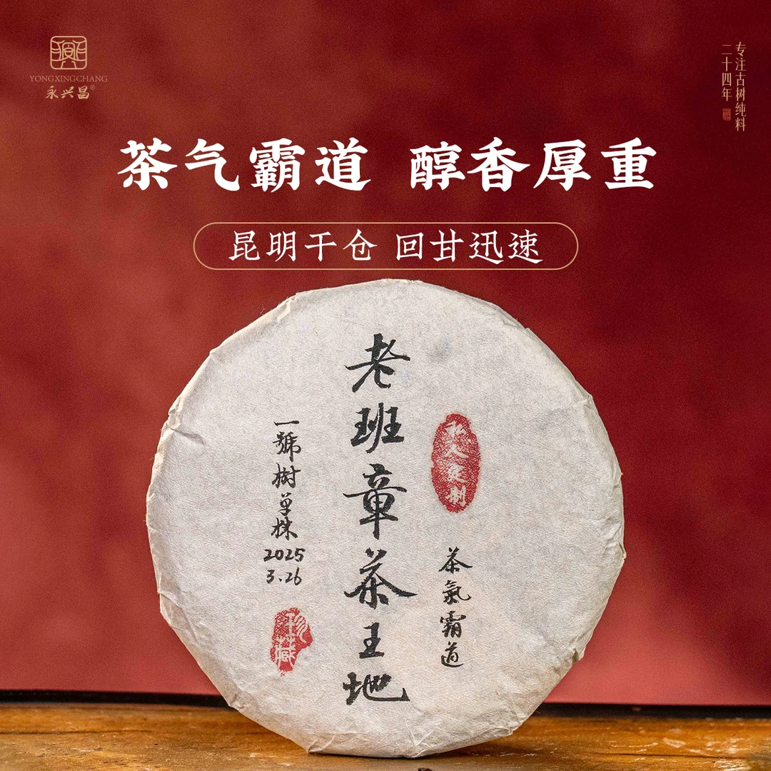 【七号树】2025老班章茶王地单株200g生茶纯料追根溯源·以质取胜