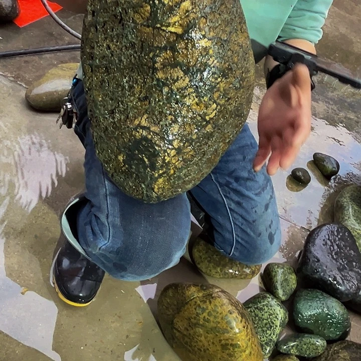 花***言蛇纹石玉合金臧玉药王石天然原石