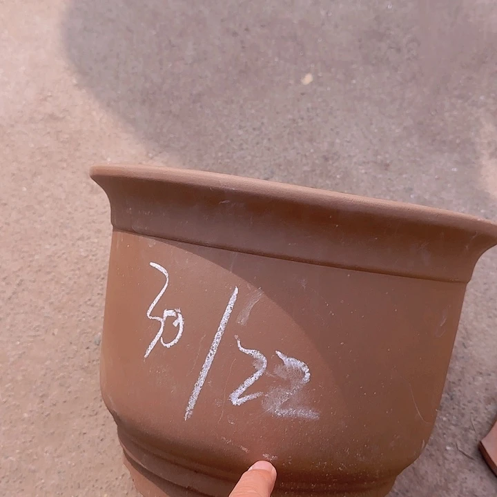 紫砂工厂直发到手4个