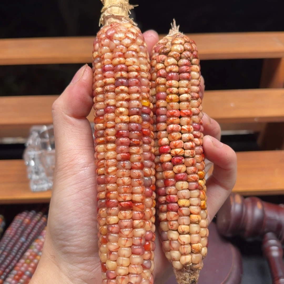 桃***呀七彩宝石文玩玉米