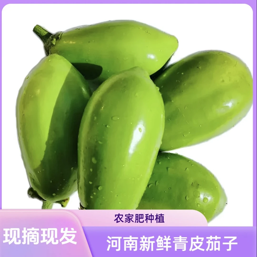 农家现摘青茄子现发青茄子3斤装 5斤装农产品河南