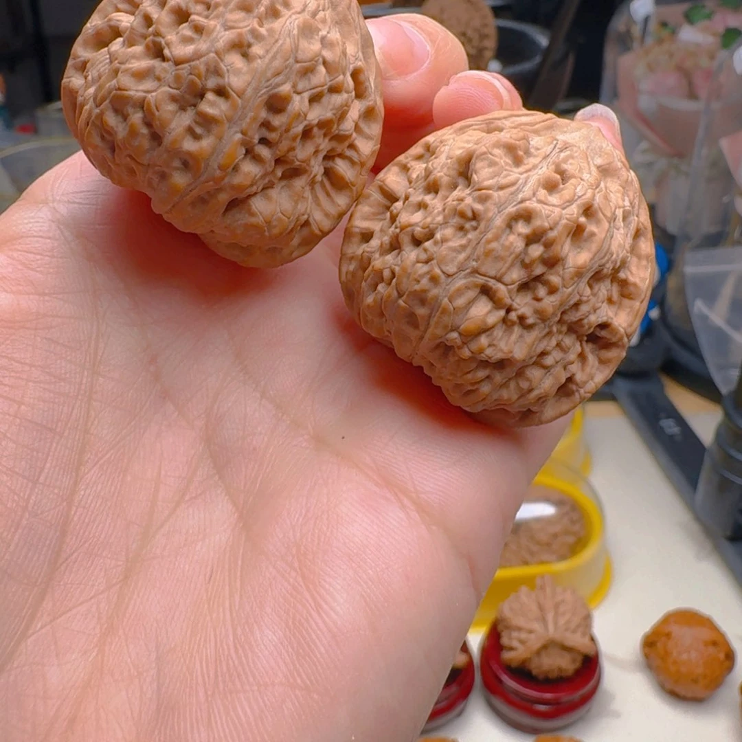 核桃把件36尺寸金蝉子