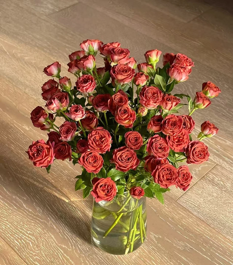 10枝巧克力泡泡多头玫瑰（2单顺丰或京东）云南鲜花室内水养复古色