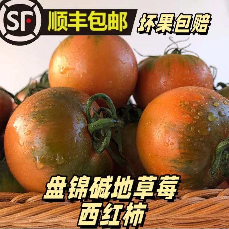 【现摘现发】正宗盘锦碱地柿子,净重3斤/5斤可选,酸甜可口,顺丰包邮