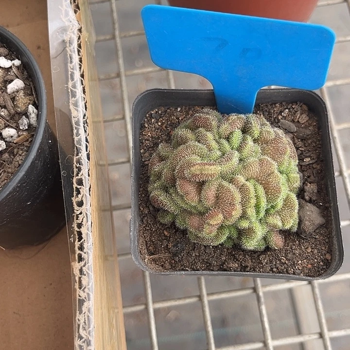 妮***宝我也不知道我为什么要这样