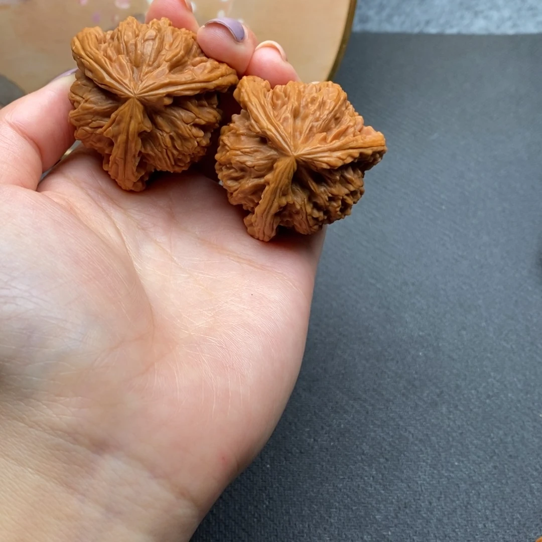 终**悔白狮子1111111111
