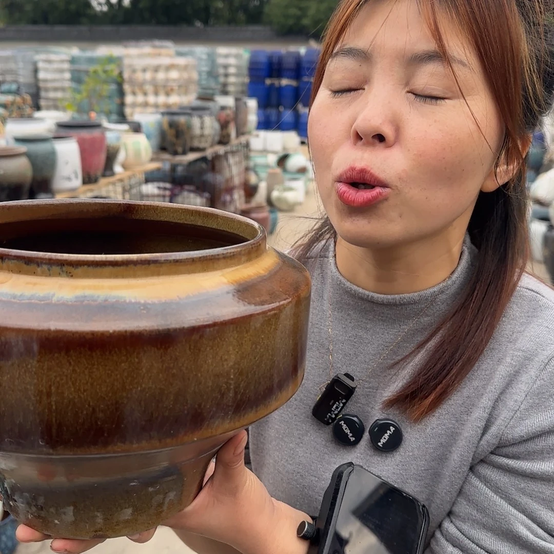 王嫂花盆1112-351高20口20