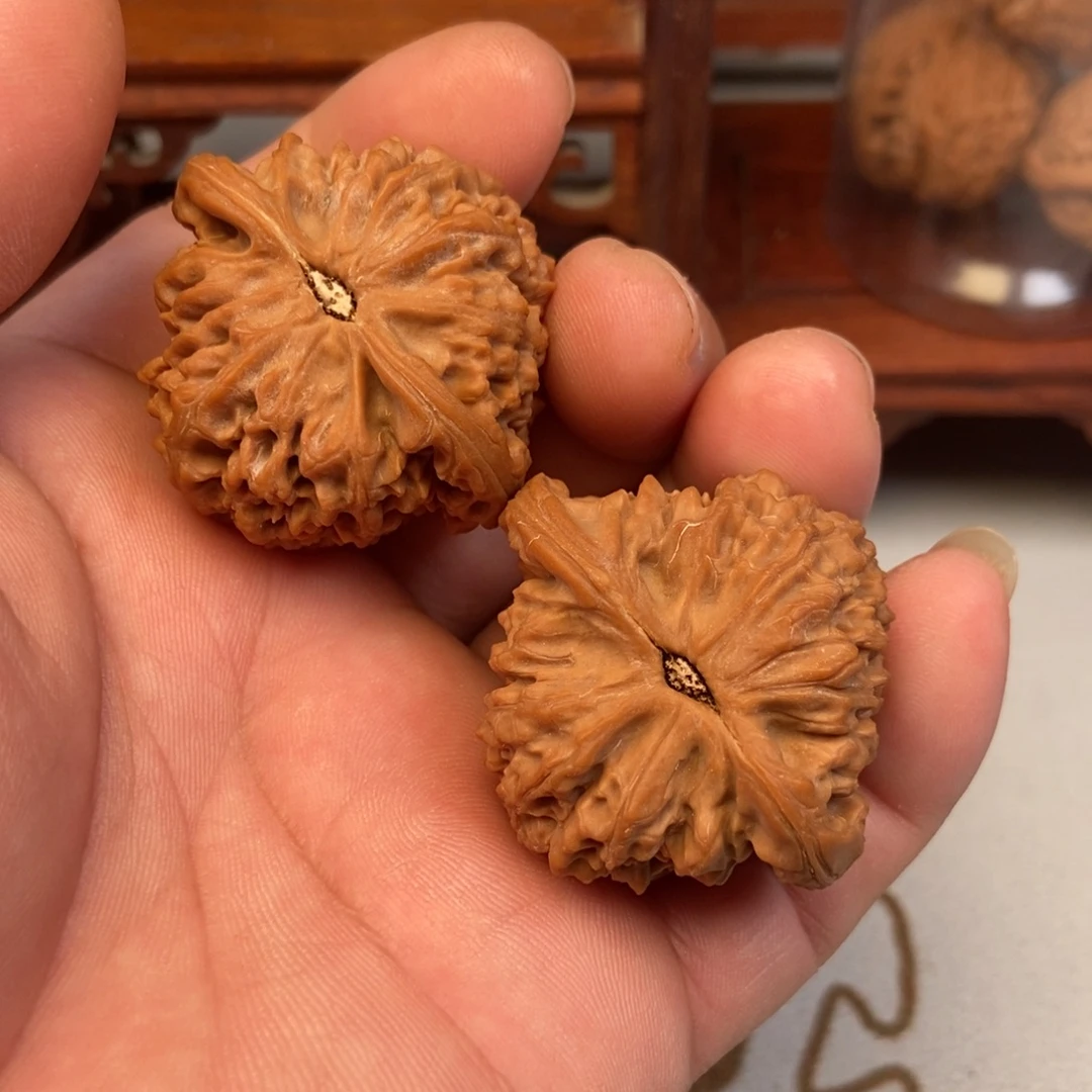 阿***日大叶紫檀（黑酸枝木类）南疆石