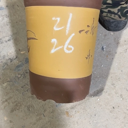 紫砂工艺厂……紫砂工艺厂……