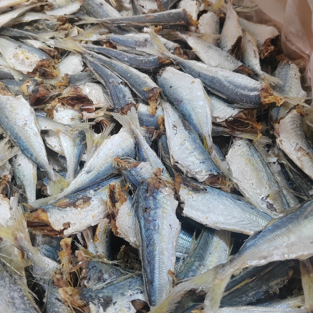 汕尾港巴浪鱼（九成干）产品特殊性，不支持任何理由退货，介意勿拍