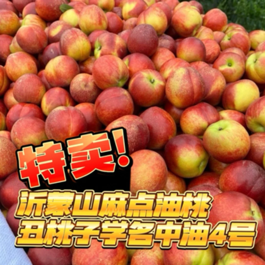 沂蒙山的麻点油桃蜜桃甜桃新鲜水果红油桃脆甜现摘现发红皮黄肉