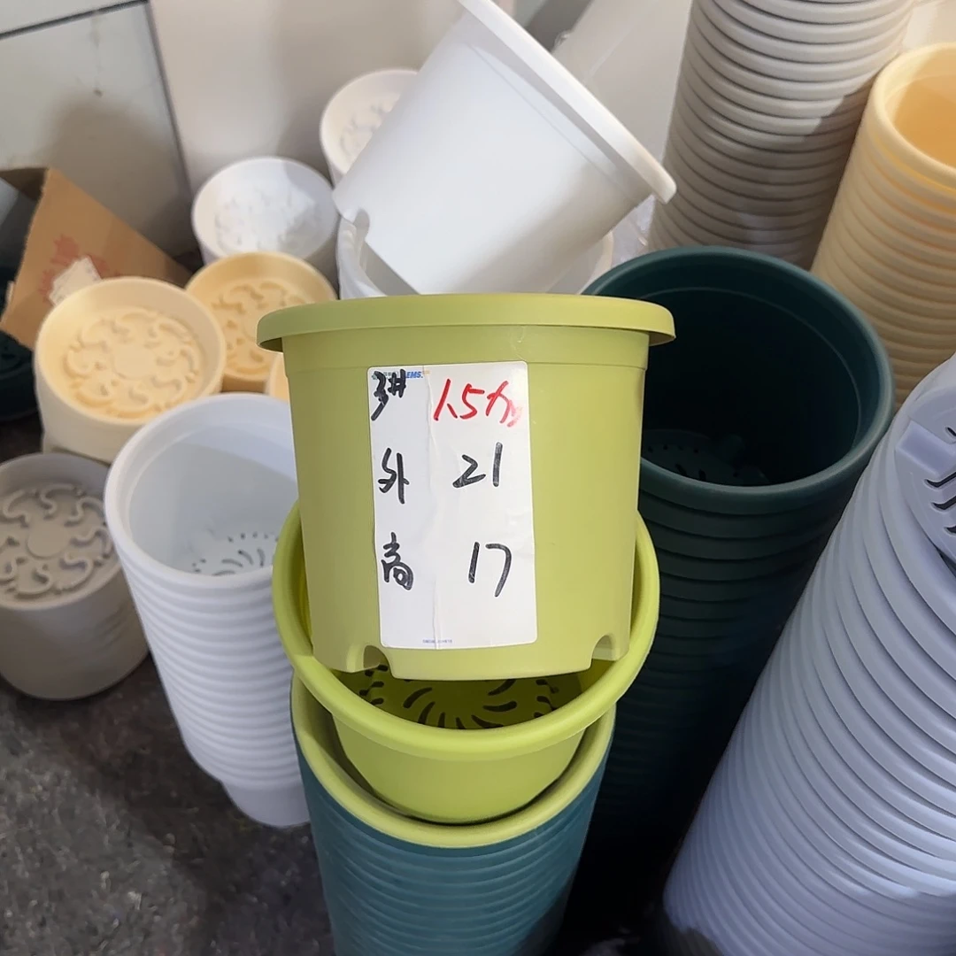 微瑕3号10个无托，果绿