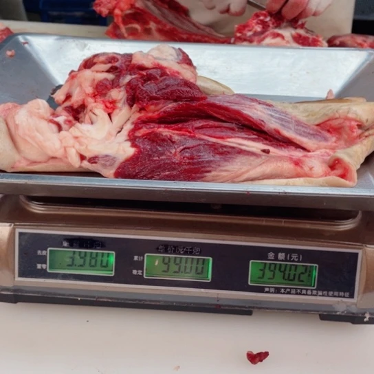 【闪购商品】冷冻保存30天包装河北省