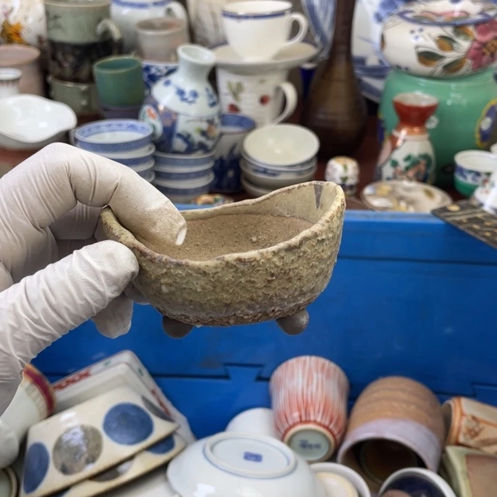 瓷片开播了开播了开播了