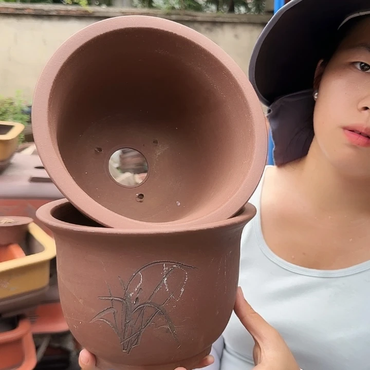 21+21平角金钟花盆花盆