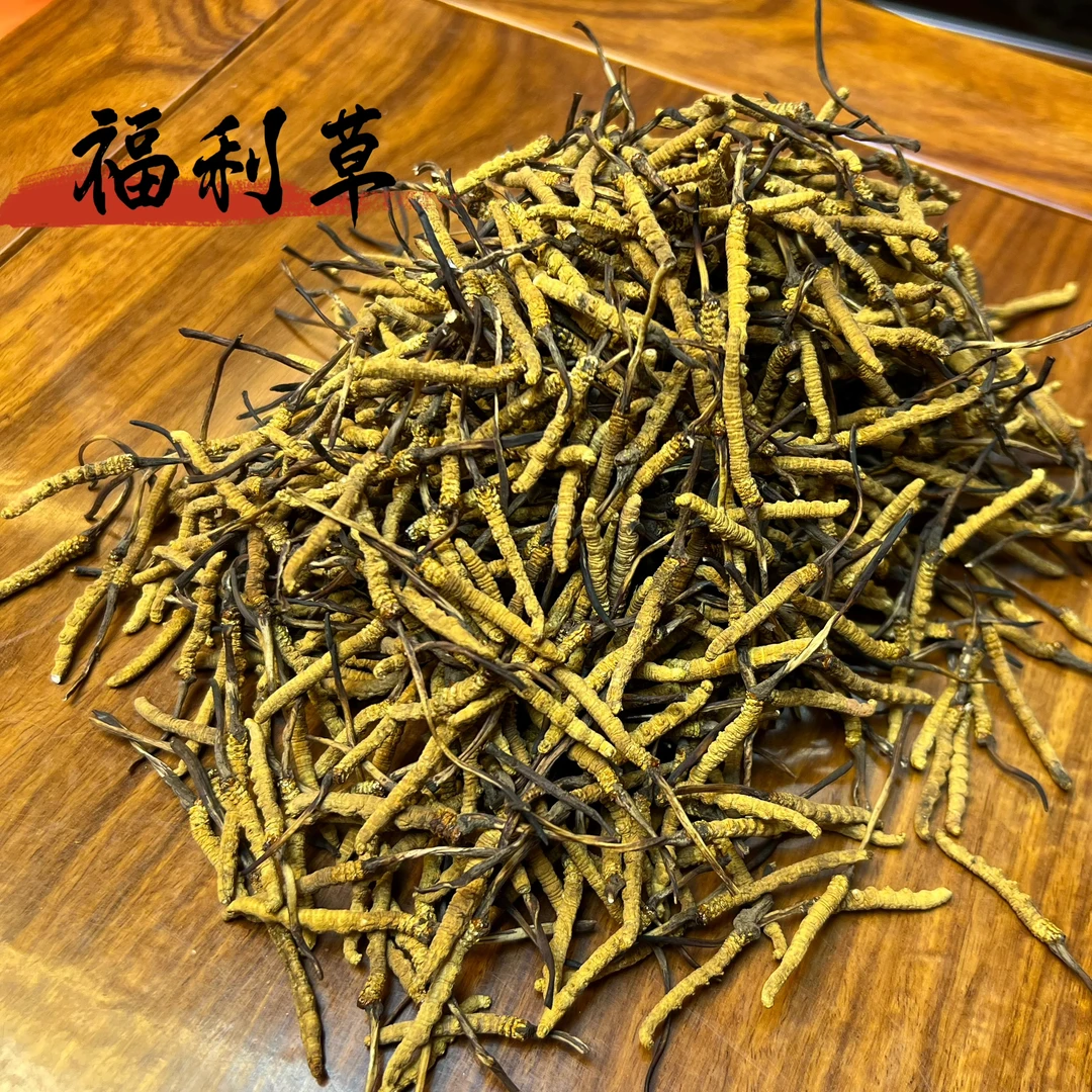 【冬虫夏草】福利小小草 2025新干草 自然晒干 品质滋补 实拍图
