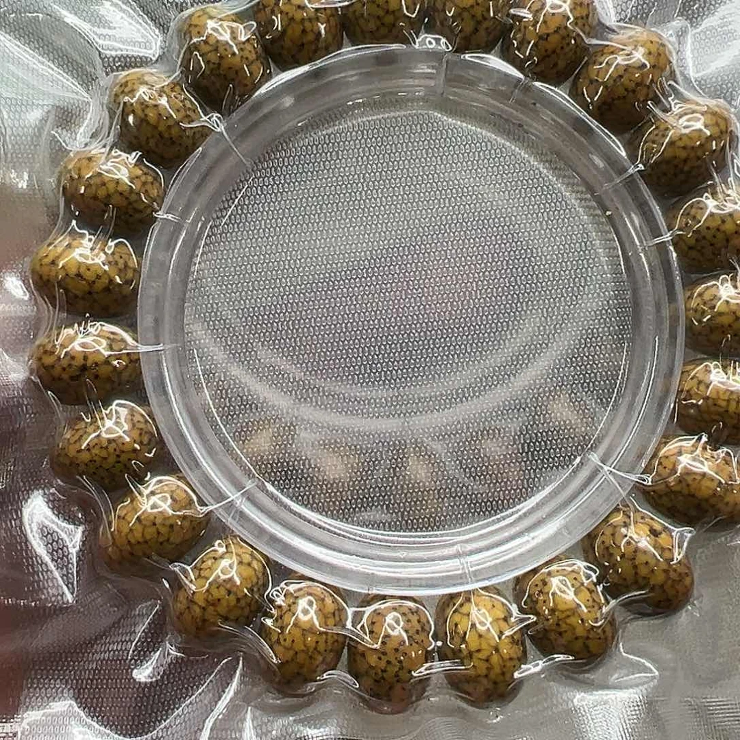 星月菩提手串26傲世开片星月菩提单圈苹果1.4