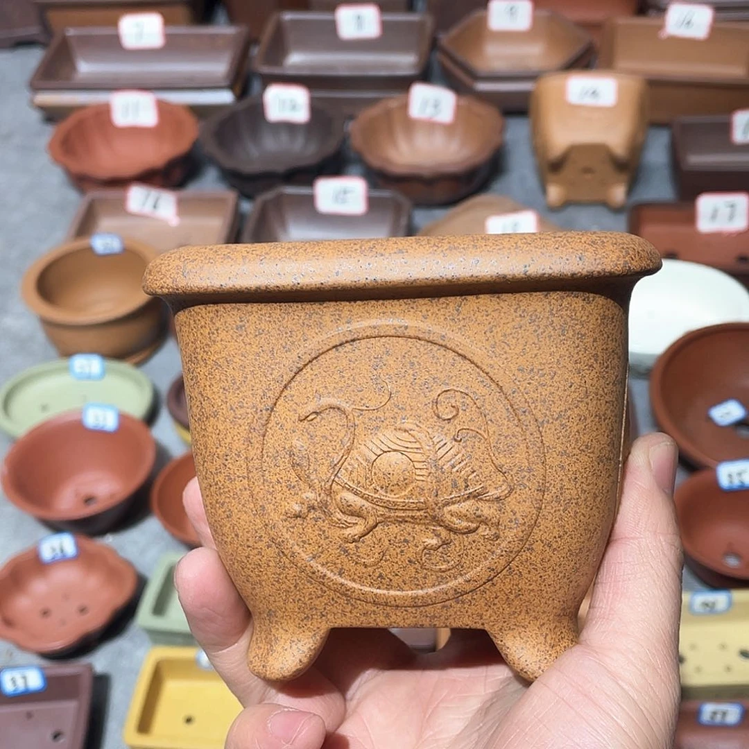 紫砂紫砂小盆10*8