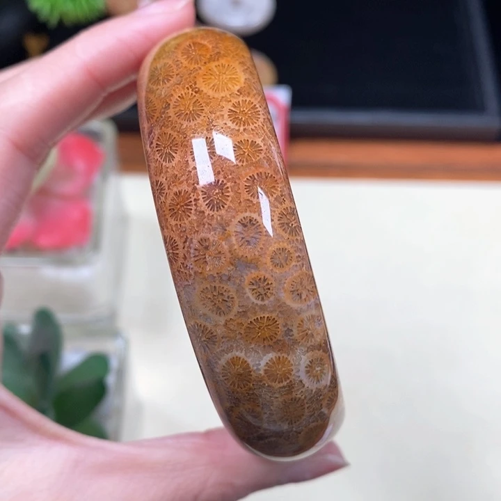 硅化珊瑚（珊瑚玉）手镯未镶嵌无***语