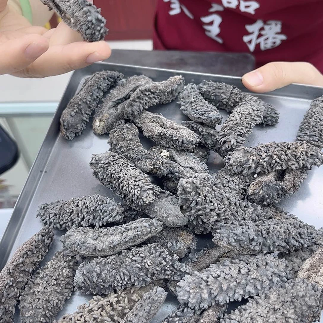 中国大陆所罗门梅花参一斤500g