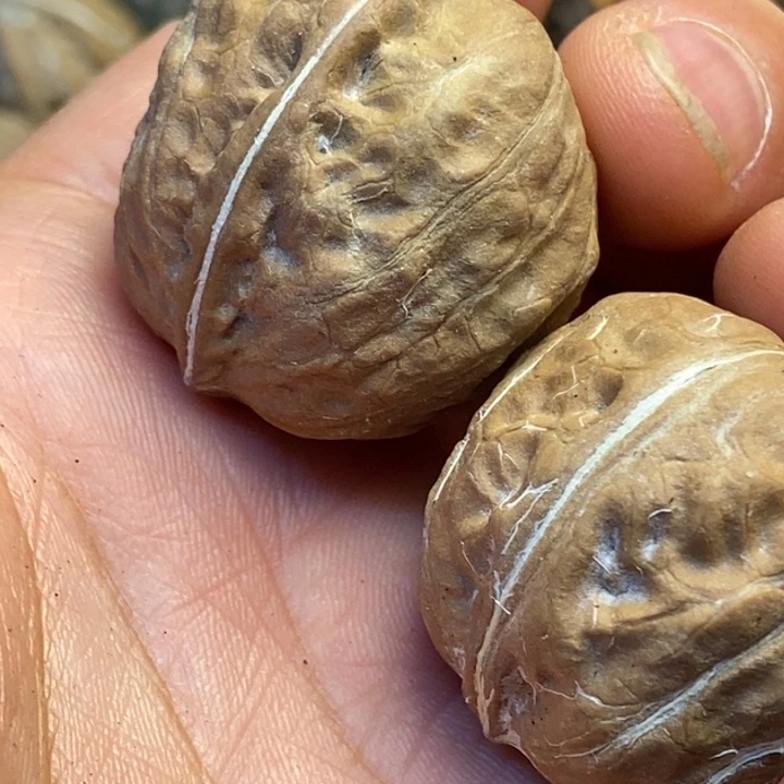 吊坠文玩核桃娜姐10