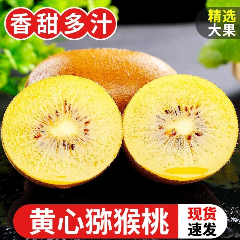 四川黄心猕猴桃新鲜水果现摘现发香甜可口奇异果