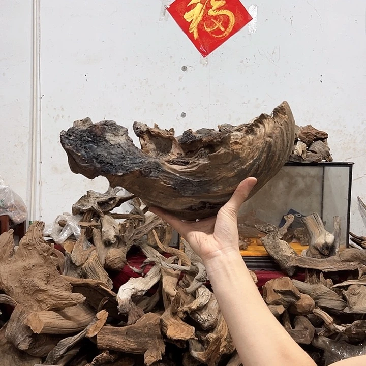 柏木随**缘我们的生活也是如此吧