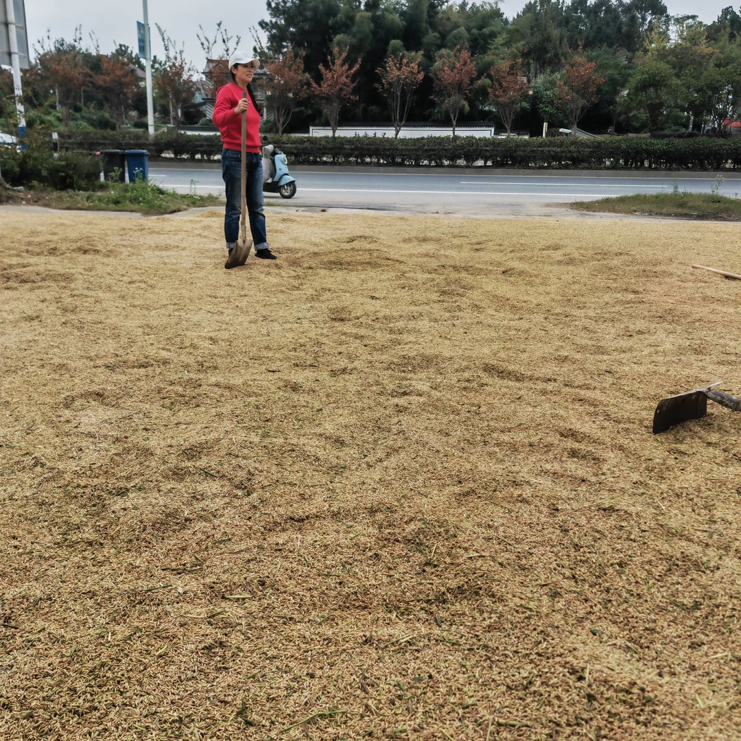 农产品代购专用图（20斤）