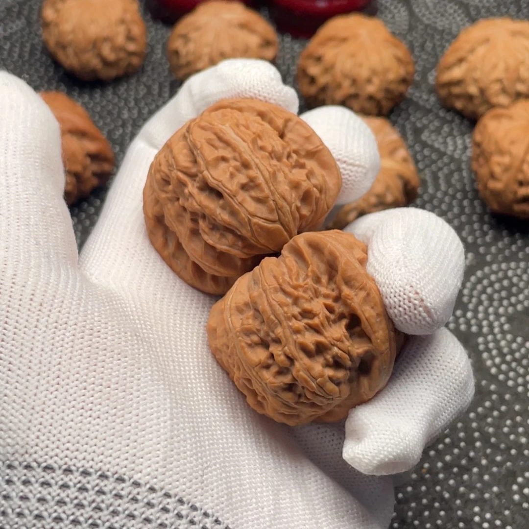 中***银S92540白狮子4r