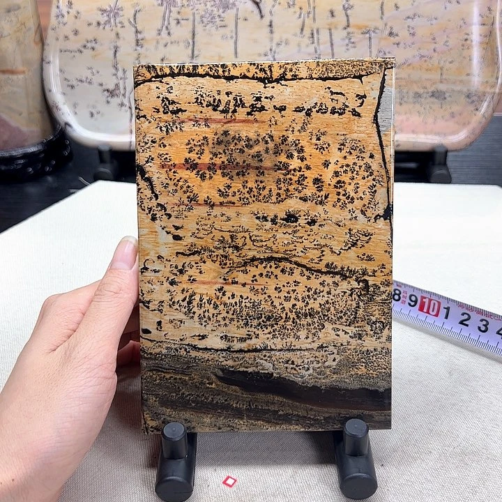 广西石天然国画石