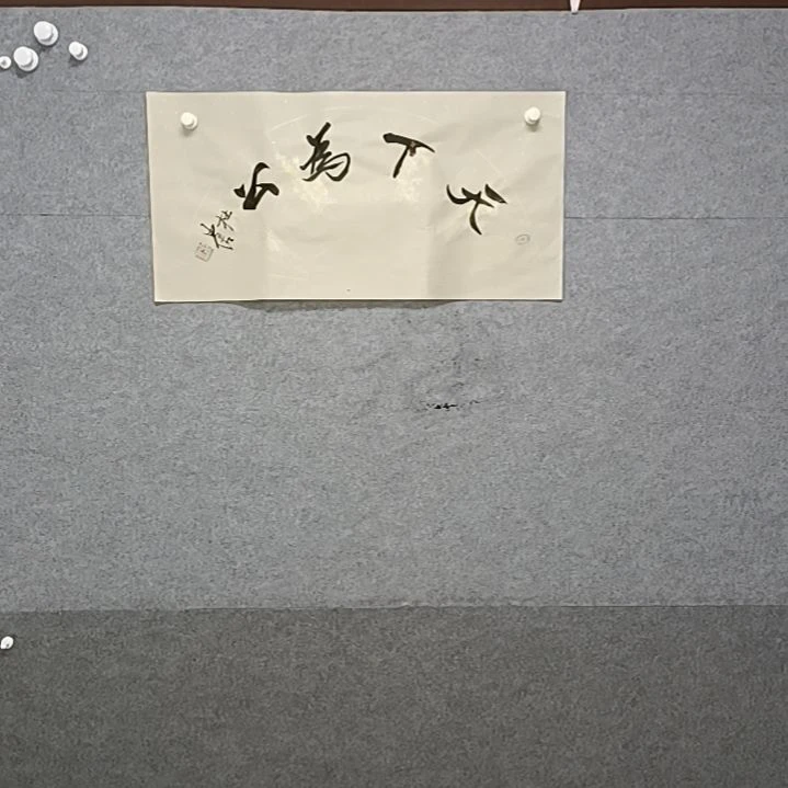 书法天下为公扇面书法作品