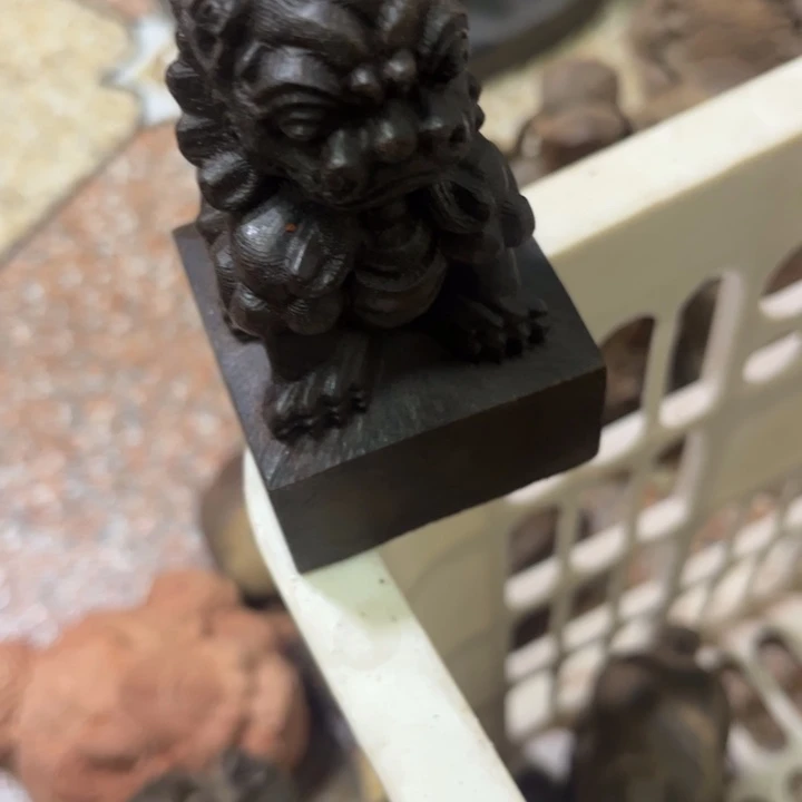 风车木（黑檀木）依**水