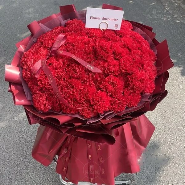 【安康】鲜花康乃馨花束52朵生日鲜花生日花束生日礼物花店送花上门送爱人送母亲c