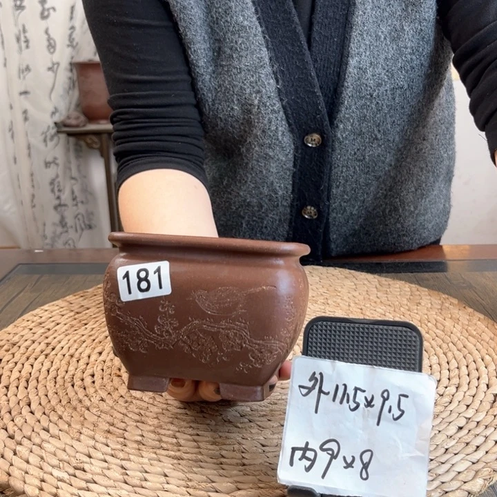 紫砂花盆超精品墨梅刻绘束口方181