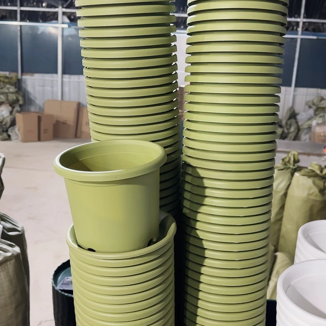 塑料四季盆2号盆果绿15个盆不含拖