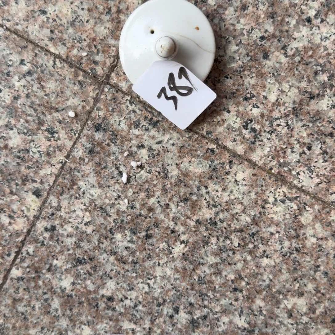 伟***笑杂色豆（科檀/科特迪瓦檀木）