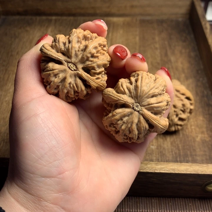 文玩核桃吊坠向**鹰粗筋