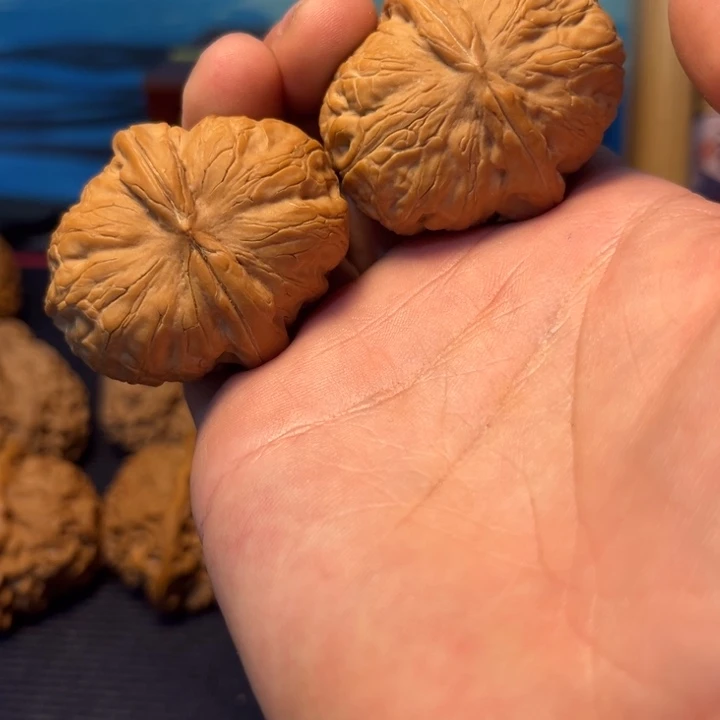 文玩核桃元宝全品42