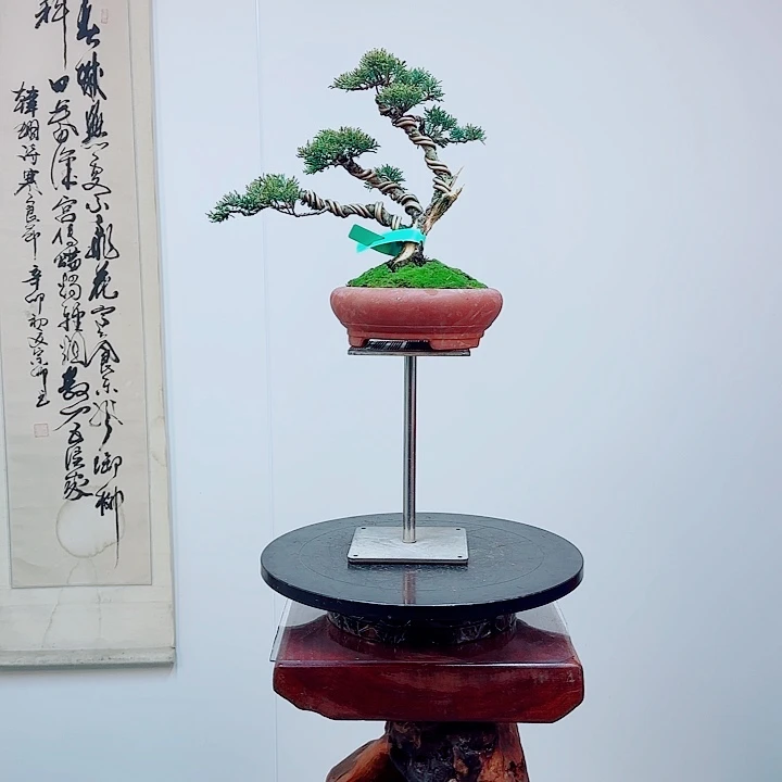 赶***槌完全开放一物一拍济州