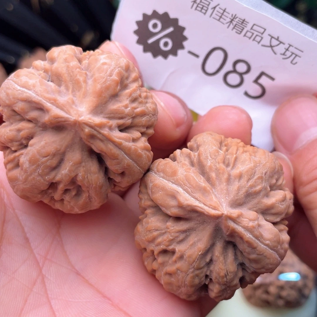 文玩核桃把件无敌霸王龙40尺毕业对头货