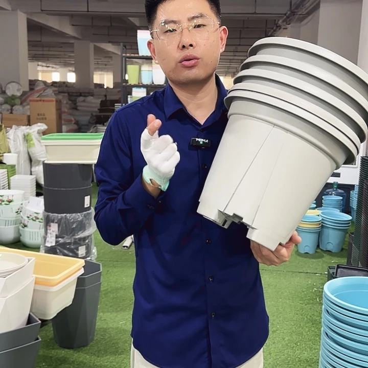 青山口32高28灰白色5只无托