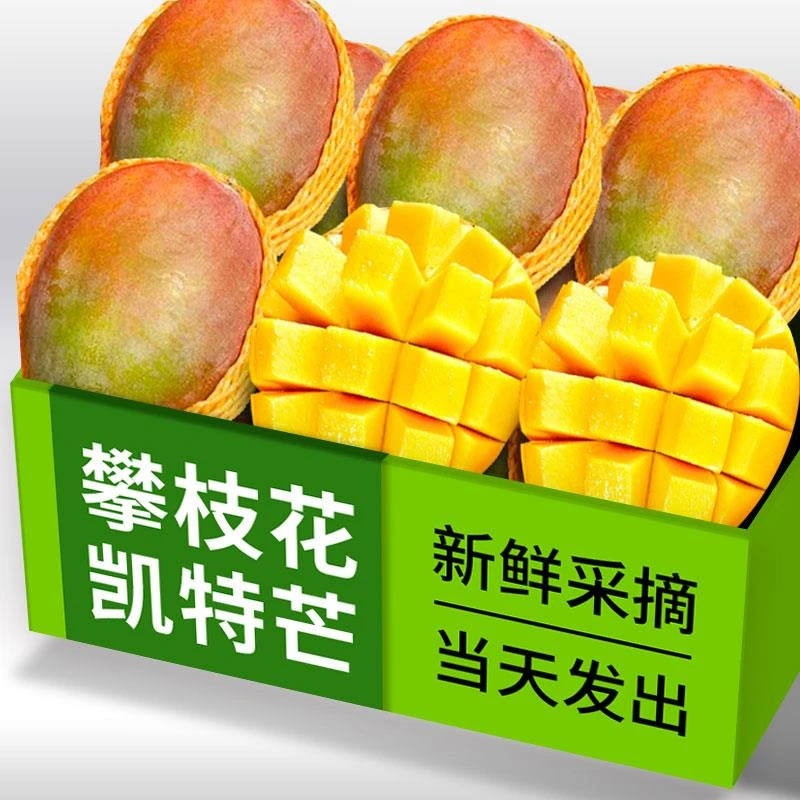 四川攀枝花凯特芒大芒果新鲜5斤应季水果大青皮甜心芒果